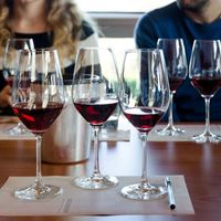 Cours d'œnologie "Initiation à la dégustation de vin" à Grenoble