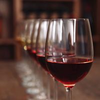 Cours d'œnologie "Initiation à la dégustation de vin" à Bordeaux