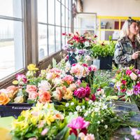 Visite à la ferme & atelier floral  à Avrainville (91)