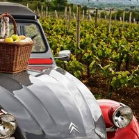 Visite privée du vignoble de Saint-Emilion en 2CV