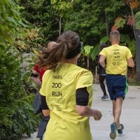 Paris Zoo Run 2024 : venez courir pour les rhinocéros !