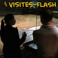 Visites-flash « Les plans-reliefs en 15 mn » au Musée des Plans-Reliefs