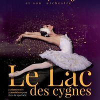 LE LAC DES CYGNES