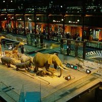 Grande Galerie de l'Évolution - Muséum national d'Histoire naturelle