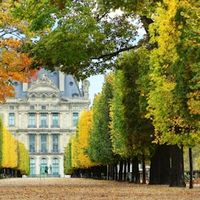 Jardin des Tuileries