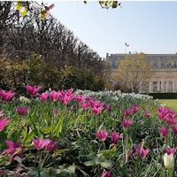 Jardin du Palais Royal