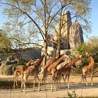 Parc zoologique de Paris