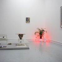 Espace Frans Krajcberg - Centre d'Art contemporain, Art & Nature