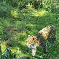 Zoo des sables d'olonne