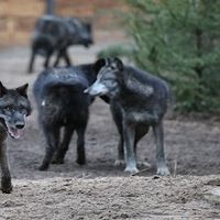 Zoo de Labenne