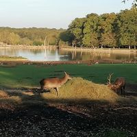 Parc Animalier de Sainte-Croix