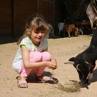 Parc saint leger - parc animalier