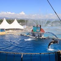 Marineland