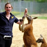 LE PARC AUSTRALIEN parc animalier intéractif