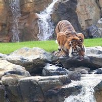 Parc zoologique de champrepus