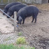 la Ferme de Paris