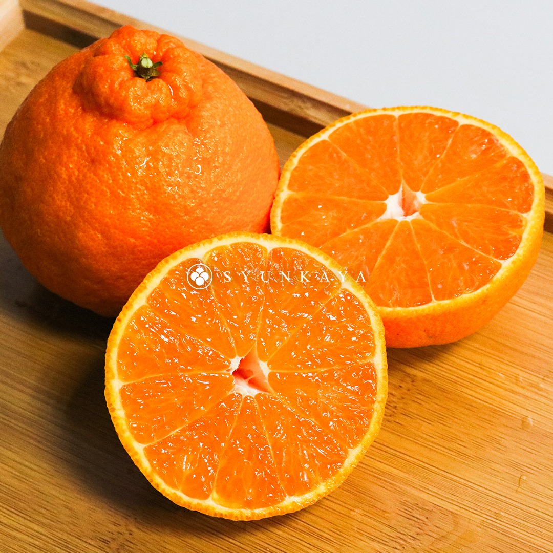 Japanese citrus fruits, Kagoshima fruits, Osho-ki mandarins, imported Japanese citrus fruits, Dekopon mandarins, Tokutou mandarins, recommended Japanese citrus fruits, original packaging of citrus fruits, winter fruits, Japanese fruit delivery.