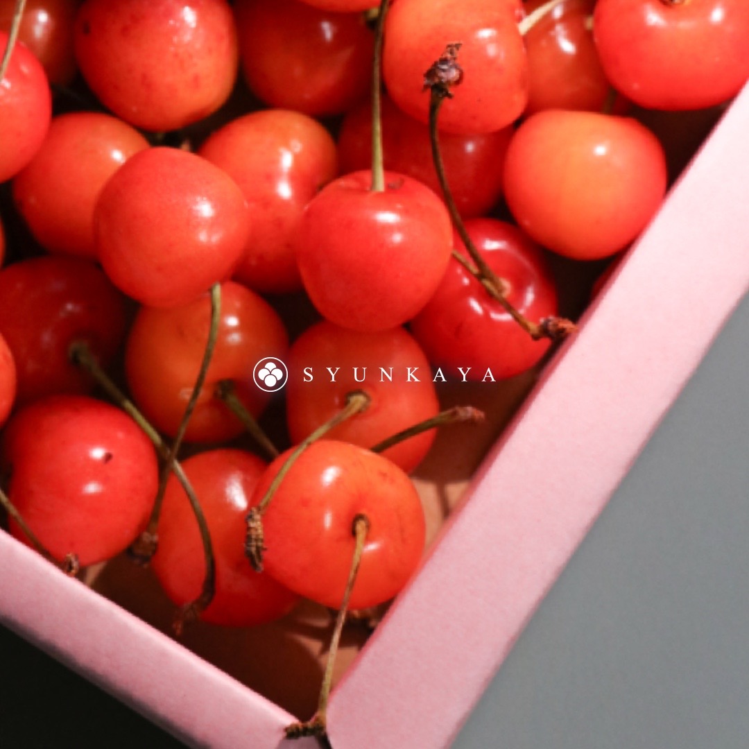 Japanese Yamagata cherries, Japanese cherries by air, Yamagata Sato Nishiki cherries, Japanese fruit imports, Japanese cherries in original boxes, Japanese cherry recommendations, summer fruit of choice, sweet cherry home delivery, Japanese imported fruit purchases, cherry air delivery