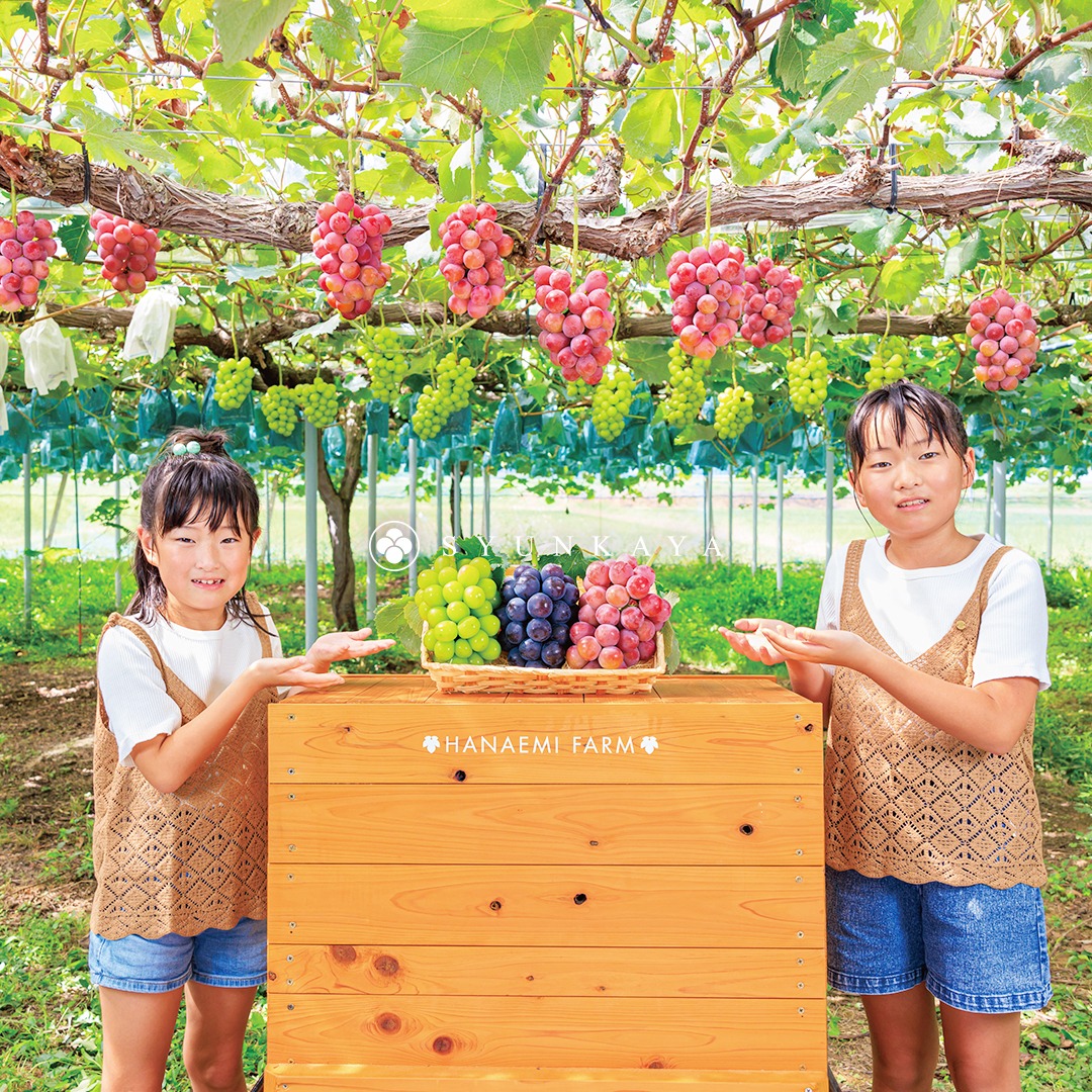岡山麝香葡萄、日本麝香葡萄、真庭市水果、岡山水果、花笑み農園、無農藥葡萄、永續農業水果、高級水果禮盒、日本水果宅配、送禮推薦