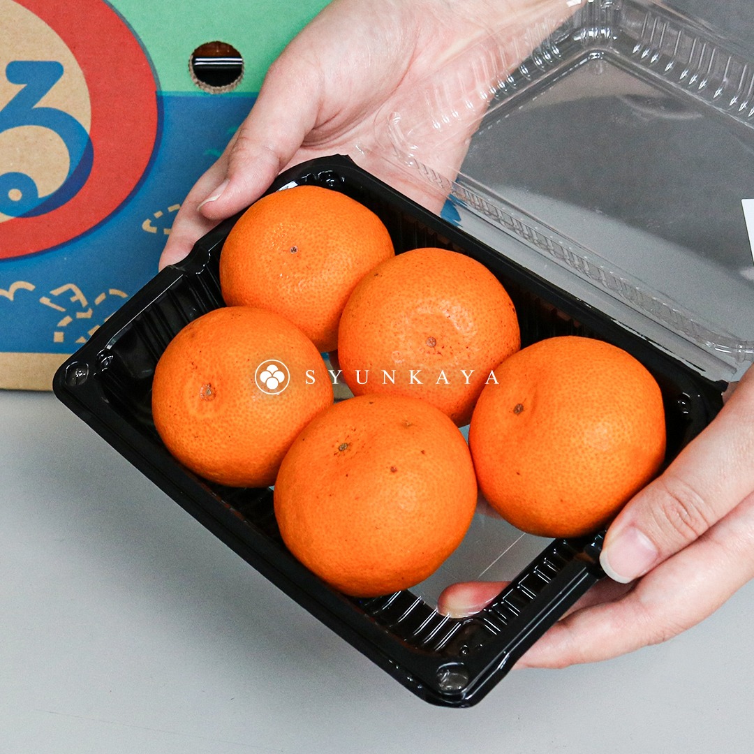 Nagasaki Nishiumi Ajinoko mandarin oranges