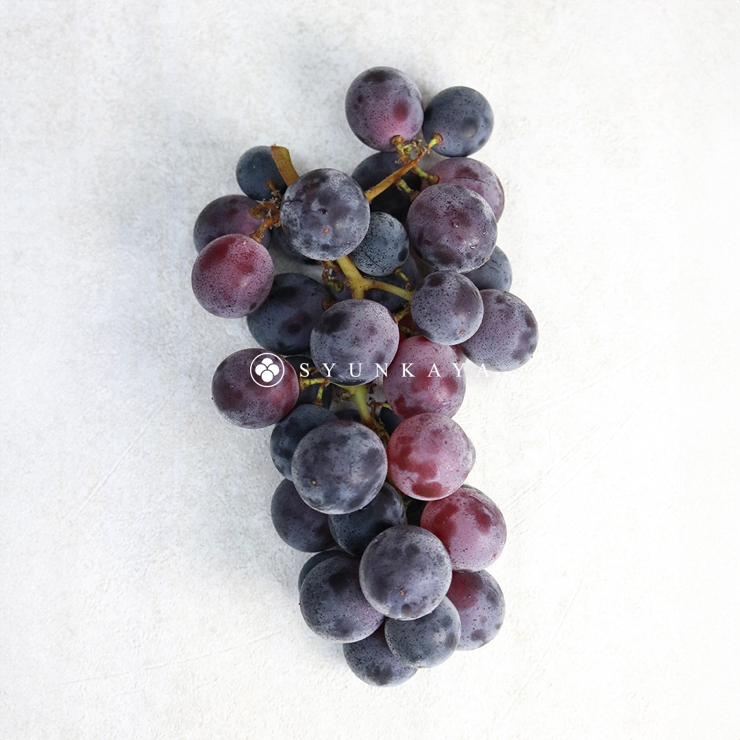 Taiwan Kyoho grapes, where to buy Kyoho grapes, Kyoho grape recommendations, Taiwan fruit recommendations