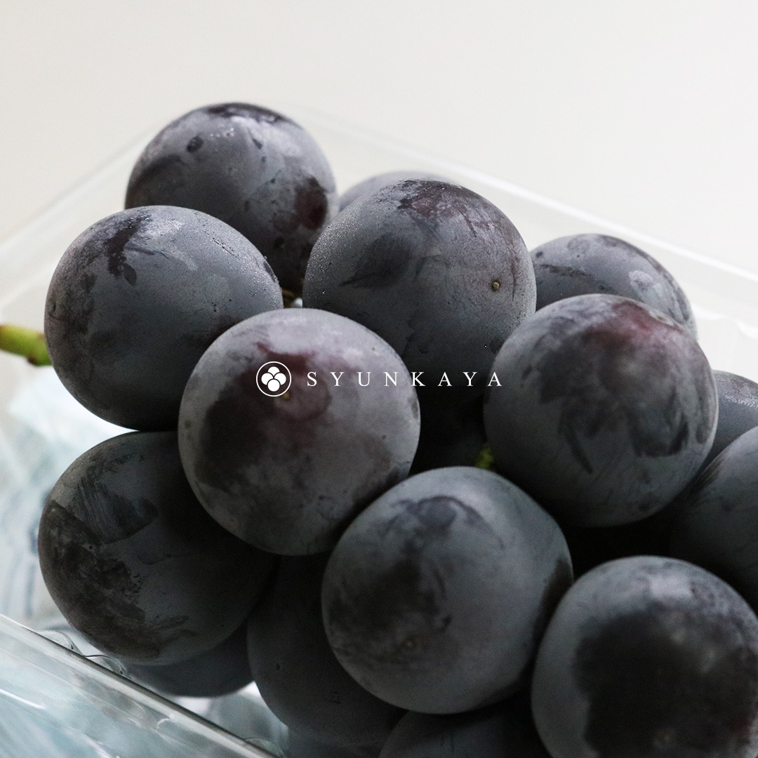 Pione grapes, seedless grapes Japan, Fukuoka fruit, Japanese summer fruit, luxury fruit, black pearl grapes, Japanese grapes