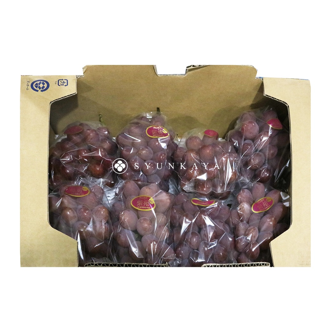 岡山紫苑葡萄、日本紫苑葡萄、岡山葡萄、日本冬季葡萄、無籽葡萄、日本進口水果、冬季葡萄推薦、紫苑葡萄5kg、日本原裝葡萄、日本甜葡萄、岡山水果、日本葡萄宅配、しえん葡萄