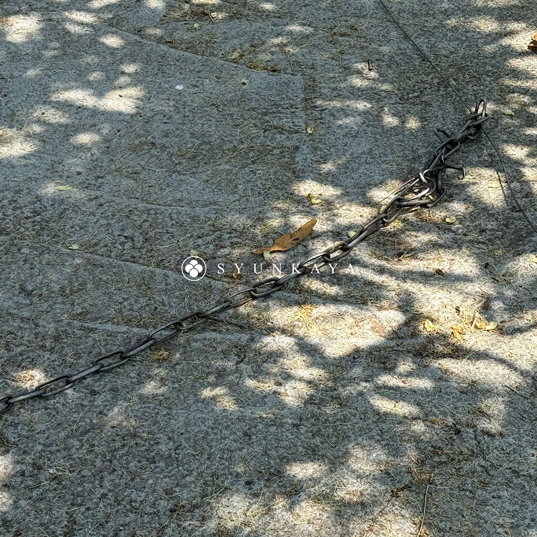 新義自然農場公園