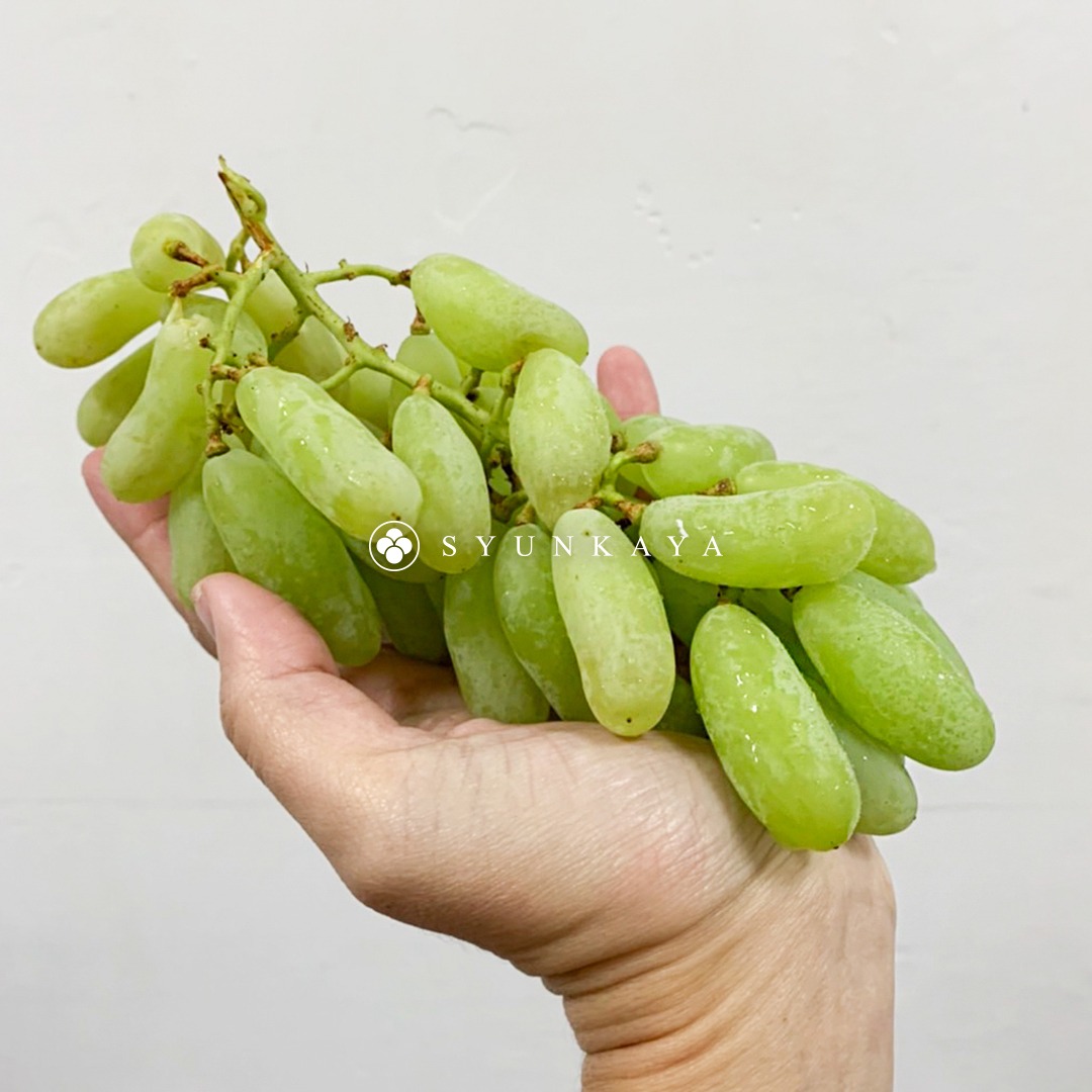 Indian finger grapes, seedless green grapes, seedless finger grapes, moon grapes, bicolor grapes (recommended), fresh imported grapes.