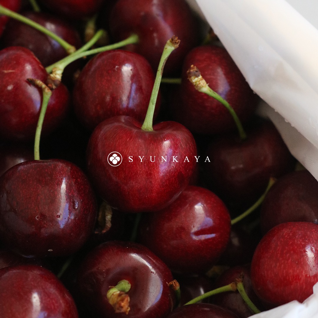 ニュージーランド産チェリー、ギフトボックス、チェリーギフトセット、レッドチェリー、ルビーチェリー