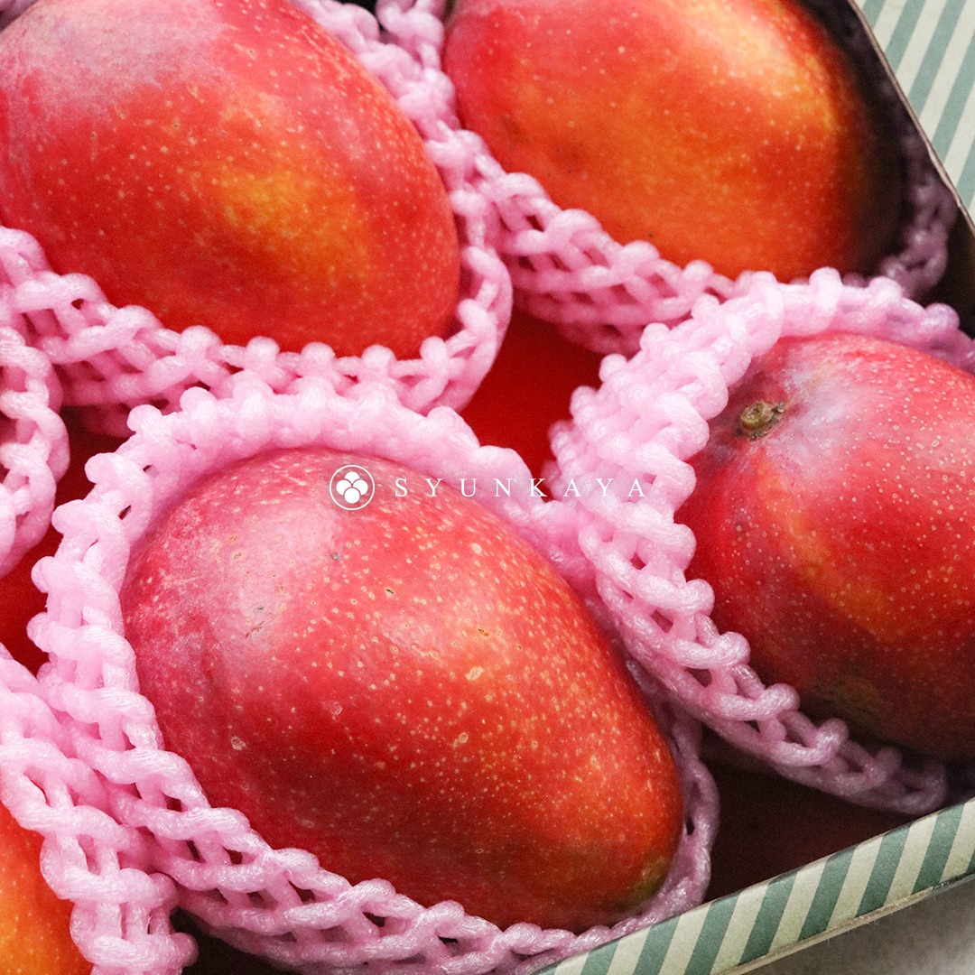 Taiwan mango delivery, Irwin mango, summer fruit special, mango varieties, mango dessert recipe, Taiwan fruits, tropical fruit box, mango smoothie, mango yogurt pairing