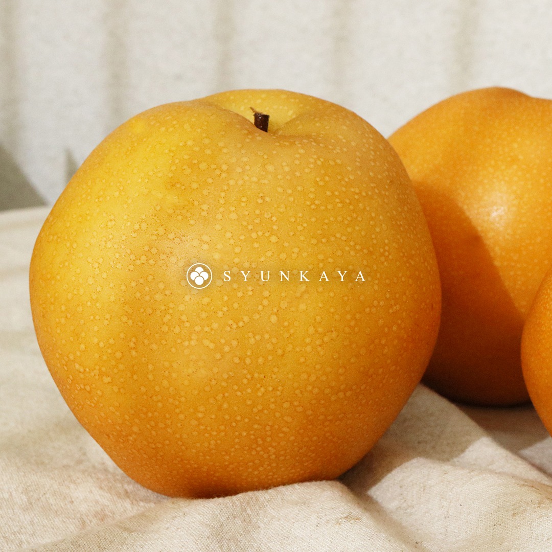 台灣甘露梨、寶島甘露梨、甘露梨推薦、台灣水梨、梨界LV、水梨禮盒、台灣水果禮盒、特色水梨、清甜水梨、脆甜水梨、多汁水梨、甘蔗香水梨、12入水梨、原裝箱水梨、高級水果推薦、送禮水果、秋季水果、台灣精品水果