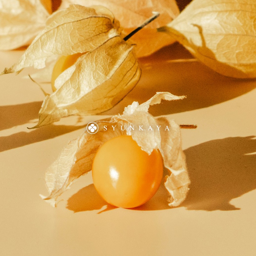 Taiwanese golden berries, physalis, ground cherries, golden berry recommendations, mini physalis, healthy small fruits, sweet and sour fruits, specialty fruits, Taiwanese specialty agricultural products, golden berry PE box, add-on items, 100g golden berries, low-calorie fruits, nutritious fruits, children&#39;s favorite fruits