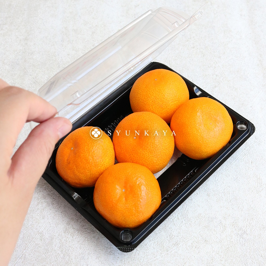Japanese Oita Mandarin Oranges, Japanese Mandarin Orange Recommendations, Oita Fruits, High Quality Citrus, Japanese Imported Fruits