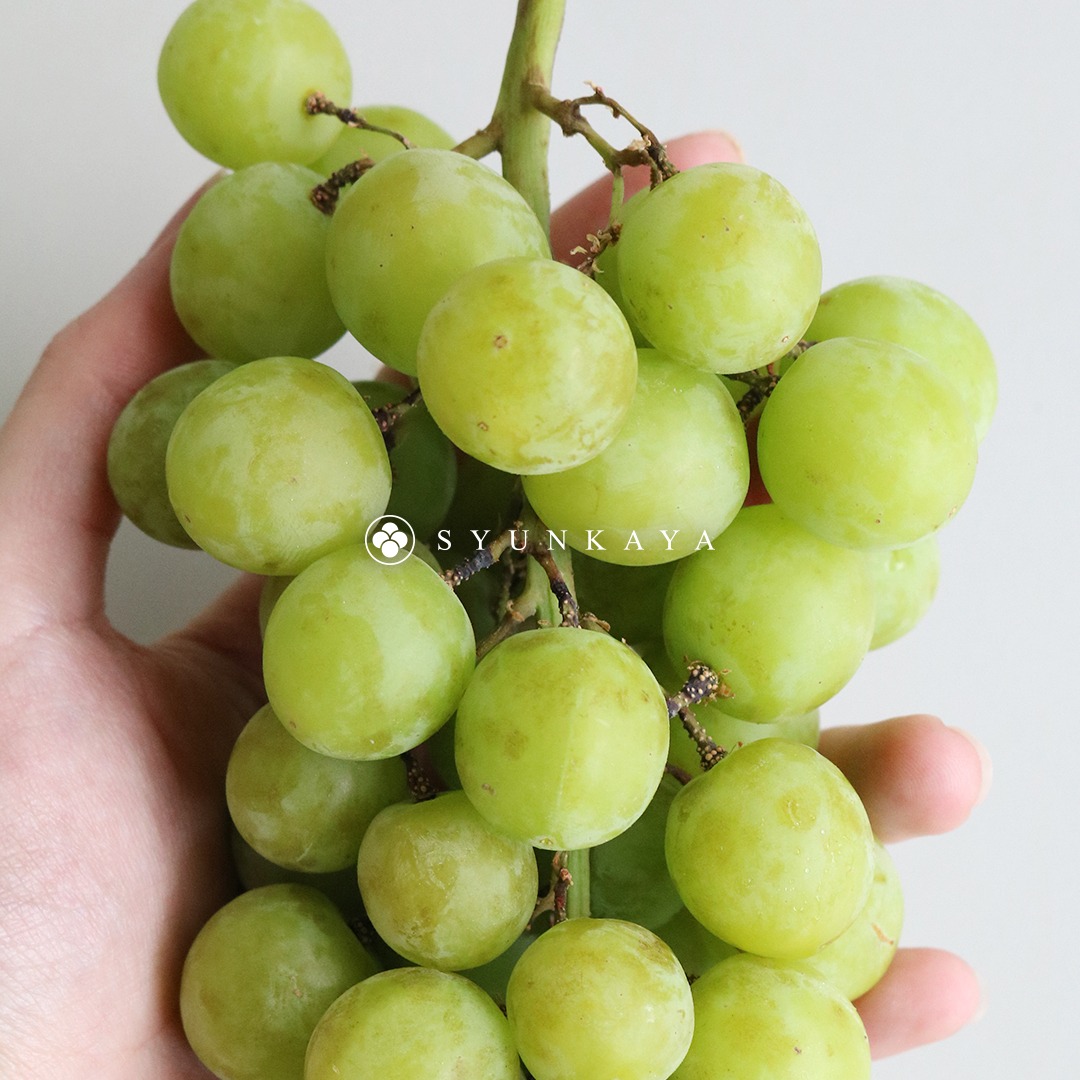 Seedless grapes, autumn crisp green seedless, autumn crisp