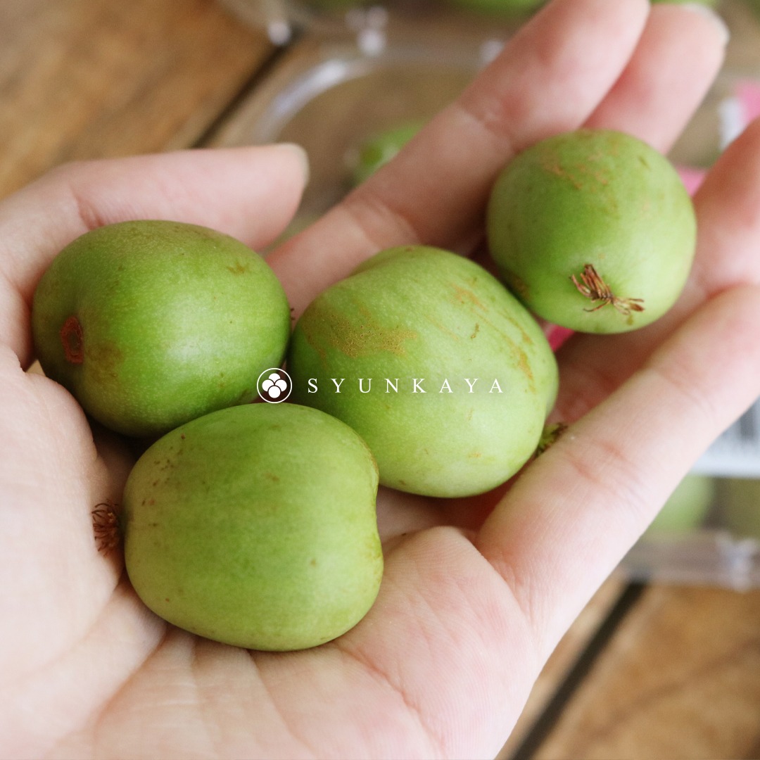 New Zealand Mini Baby Kiwi, Mini Kiwi, Baby Kiwi, New Zealand Kiwi