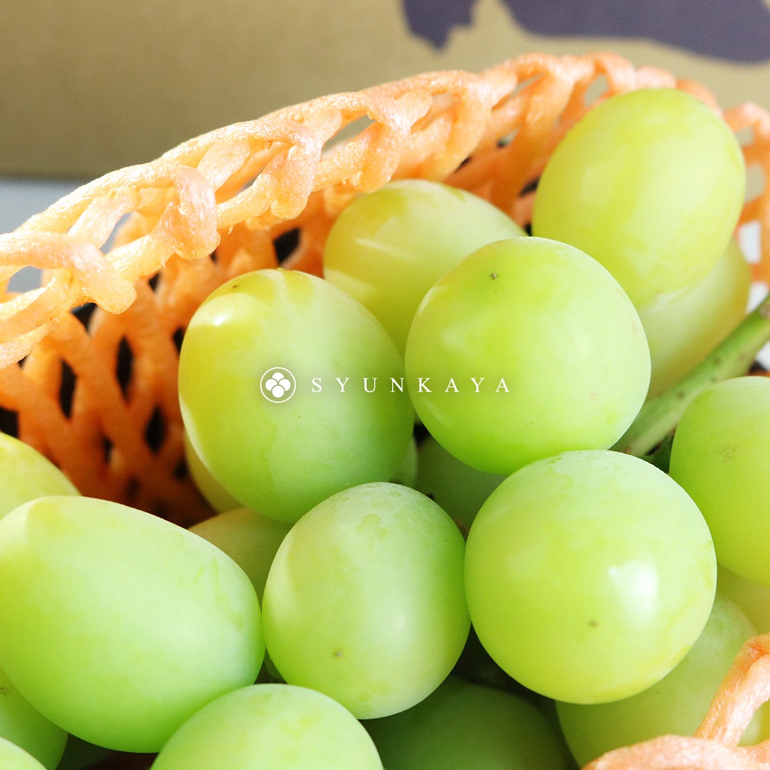 Nagano musk grapes Yamanashi musk grapes