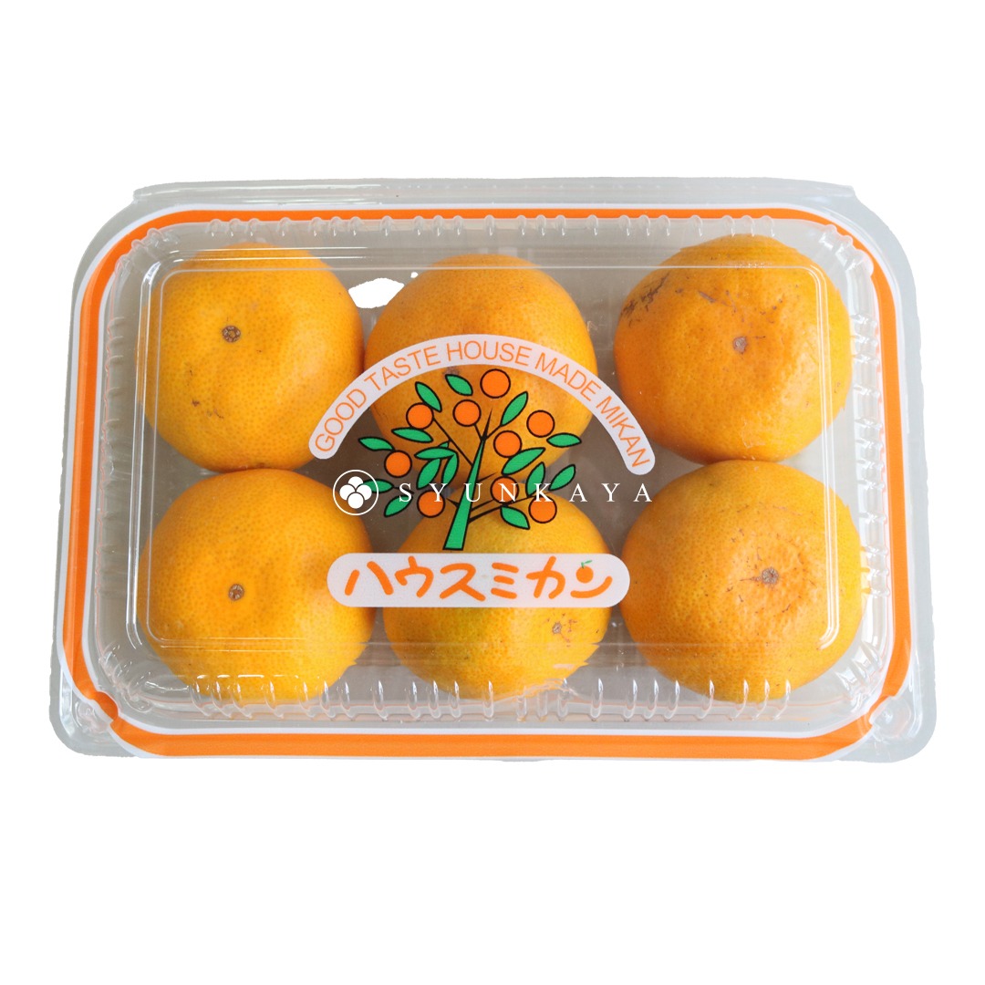 日本蜜柑 蜜柑 柑橘