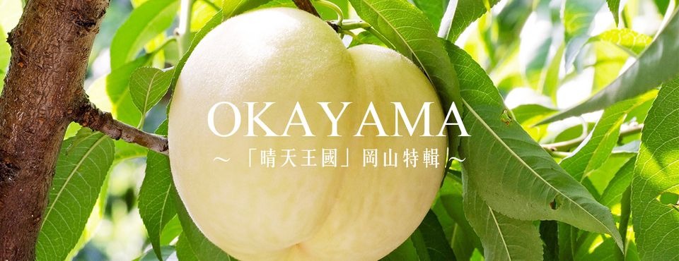 岡山県 白桃ぶどう サニーキング バイオネット レッドチーク いちご サニーキングダム