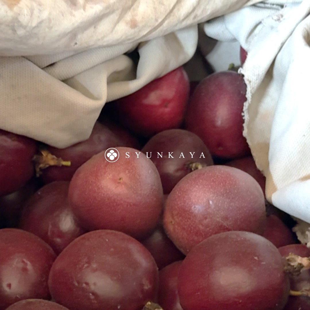 台湾産のオーガニックパッションフルーツ、オリジナルパッケージ、高甘味度、パッションフルーツ