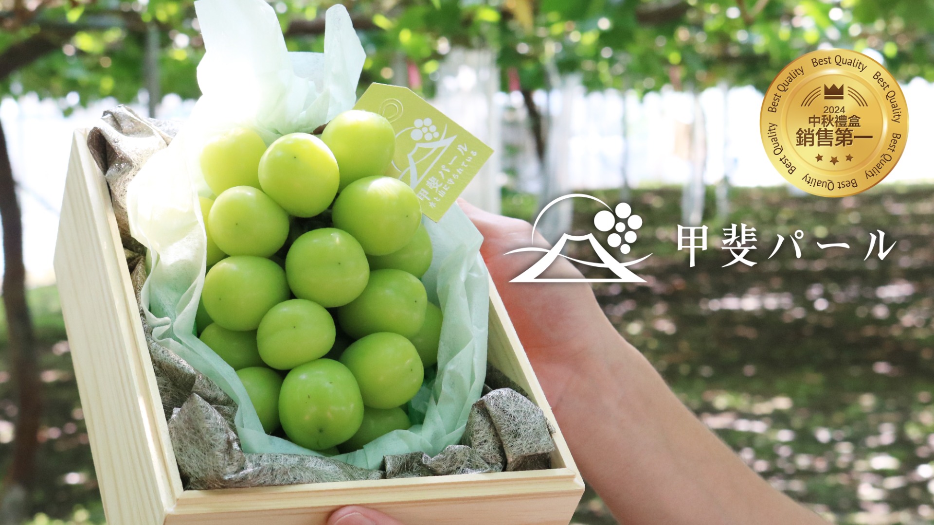 Kai Pearl Shine Muscat, Japanese Shine Muscat Gift Box, Yamanashi Muscat Grapes, Premium Japanese Fruit, Mid Autumn Fruit Gift, Muscat Grapes Taiwan, Seedless Muscat Grapes, Luxury Fruit Gift Box, Fresh Fruit Delivery Japan, Air-shipped Japanese Fruit, Shine Muscat Taiwan, Gift for Moon Festival