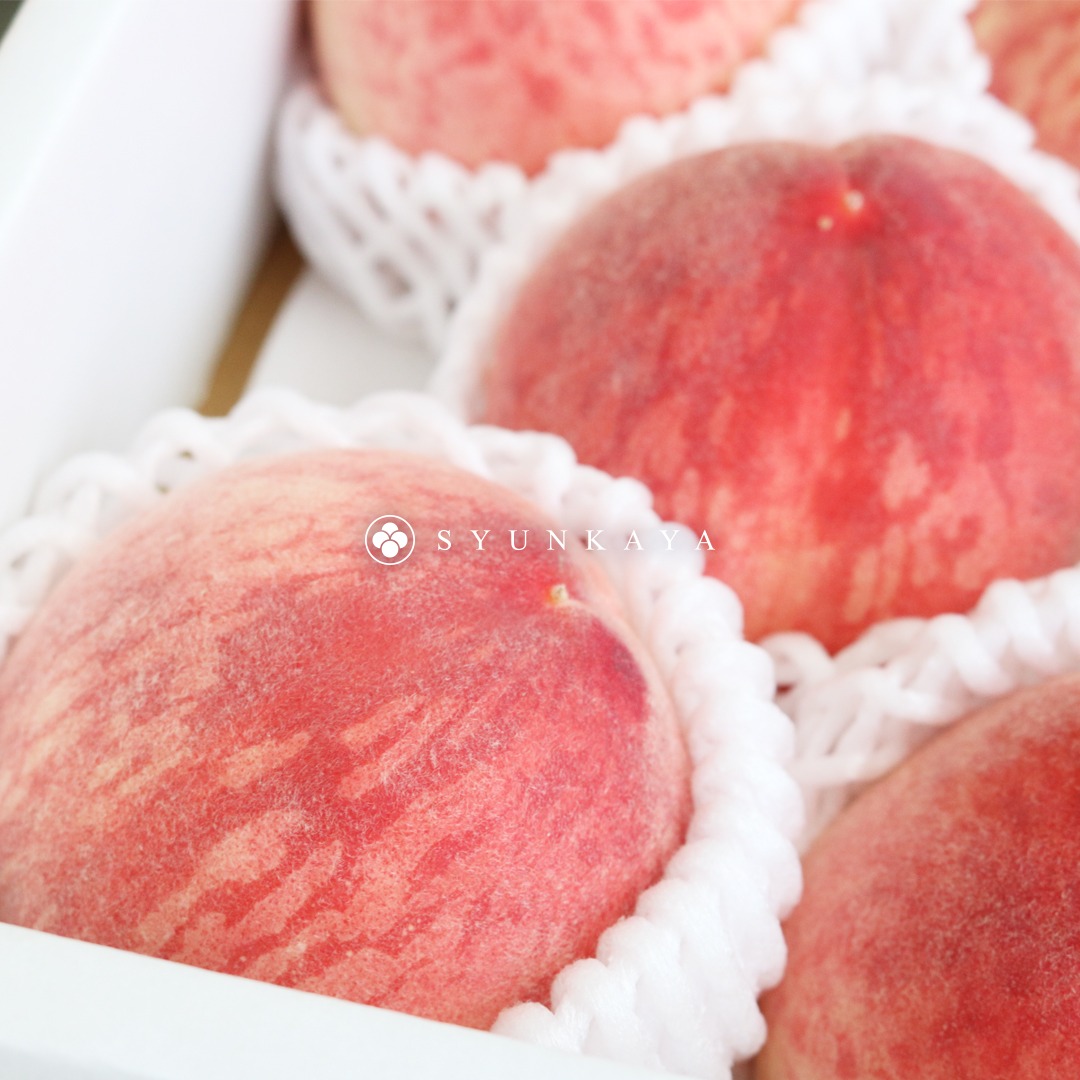Sorbet Greenhouse Peach