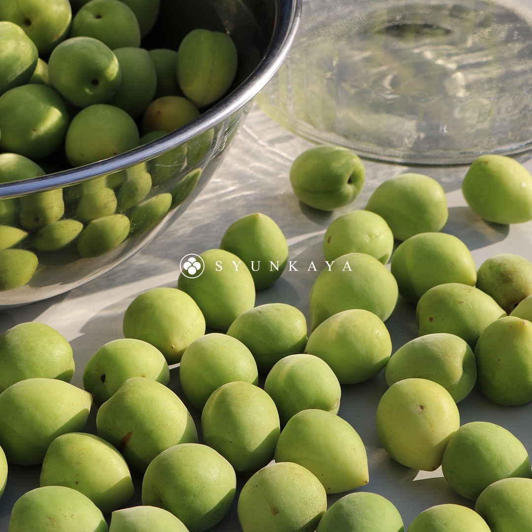Taiwan green plums, green plums, plums, Taiwan plums, organic green plums, green plum processing, green plum fruits, green plum harvest, green plum farm, green plum features, hand-picked green plums, green plum season, natural green plums, green plum products, Taiwan specialty green plums, green plum recipes, green plum goods, fresh green plums, green plum orchards, local green plums