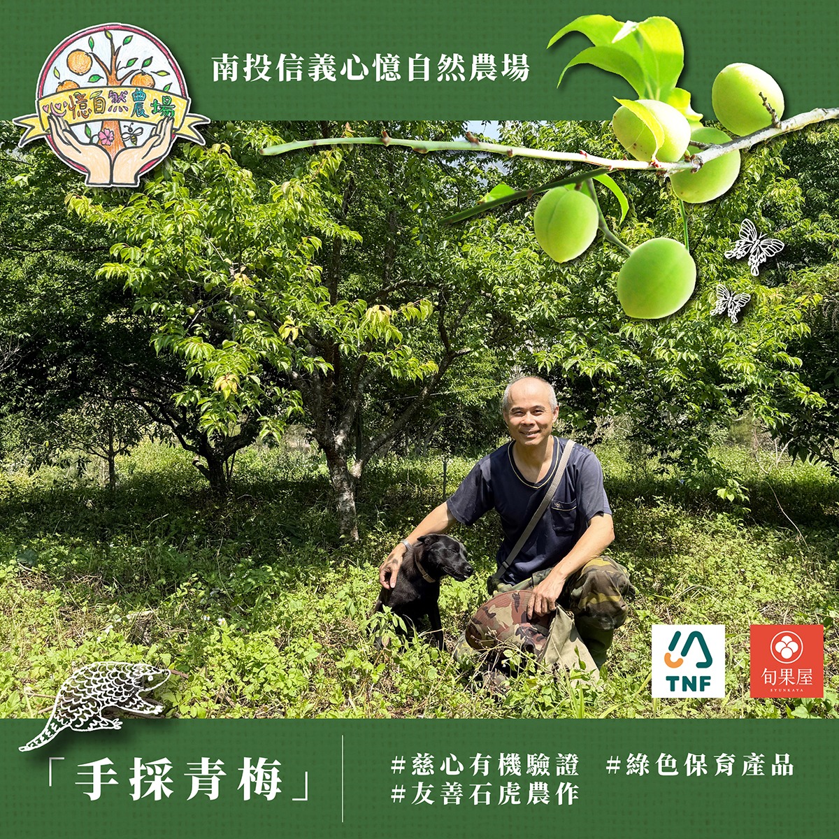 Xin Yi Natural Farm - Pesticide-Free Plums - Nantou - Friendly Farming.jpg