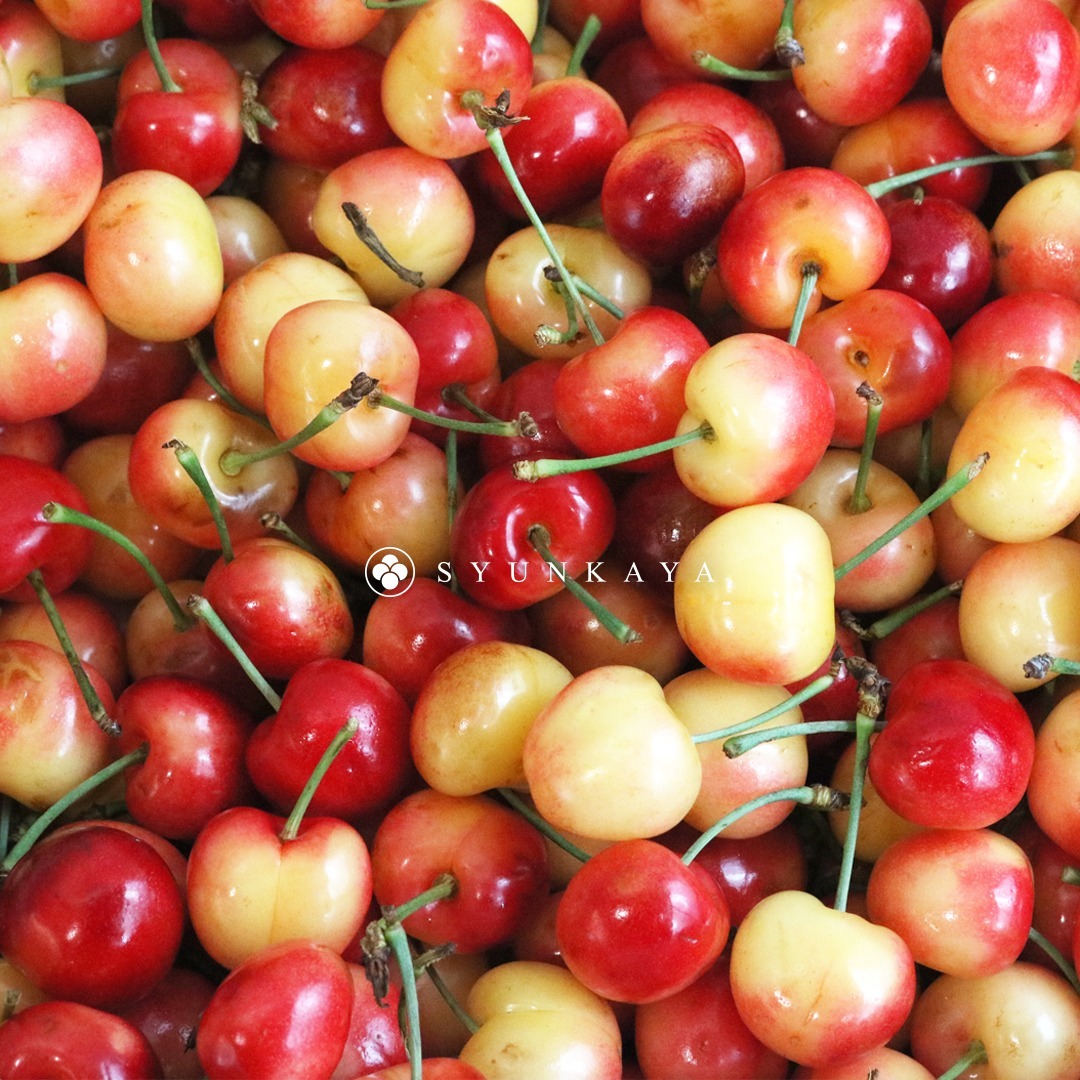 white cherry, Rainier cherry, US cherry, imported fruit box, summer fruit, sweet cherry, seasonal fruit, cherry gift, fruit delivery, gourmet fruit