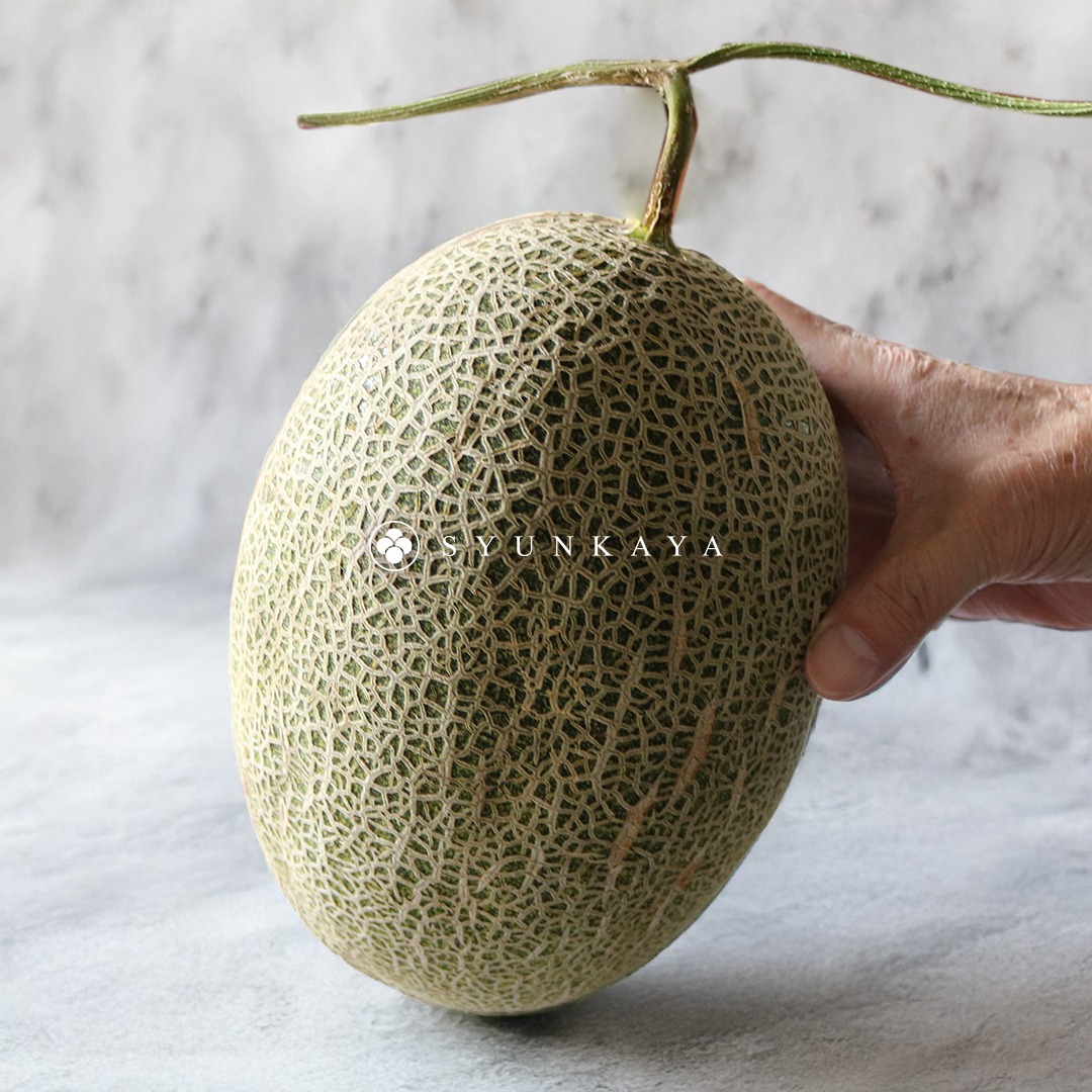 Camilla Hami melon, Taiwan Hami melon, premium Hami melon, Hermes Hami melon, crisp Hami melon, orange-fleshed Hami melon, sweet Hami melon, premium Taiwanese fruit, Hami melon gift box, recommended fruit for gifting, limited edition Hami melon, high-end fruit gift box