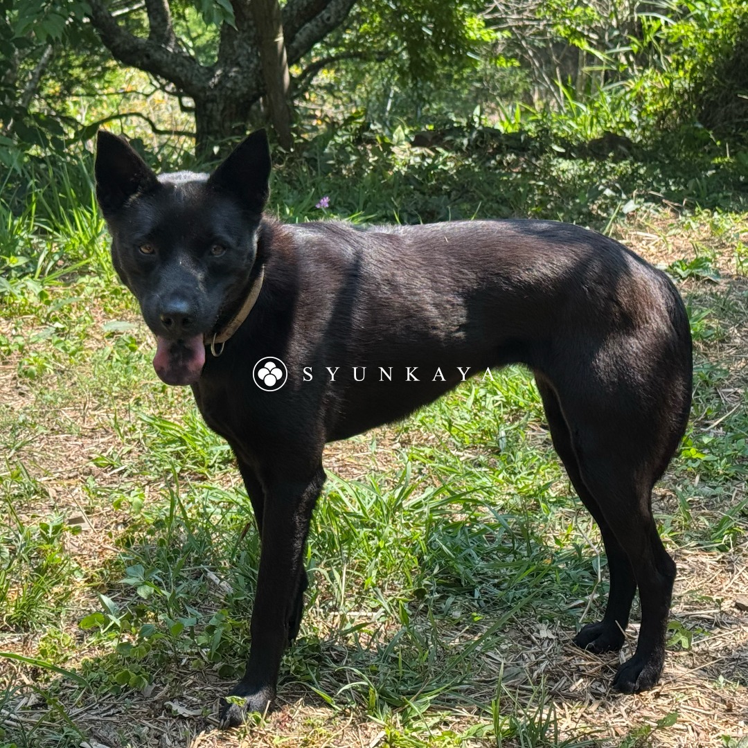 新義自然農場公園