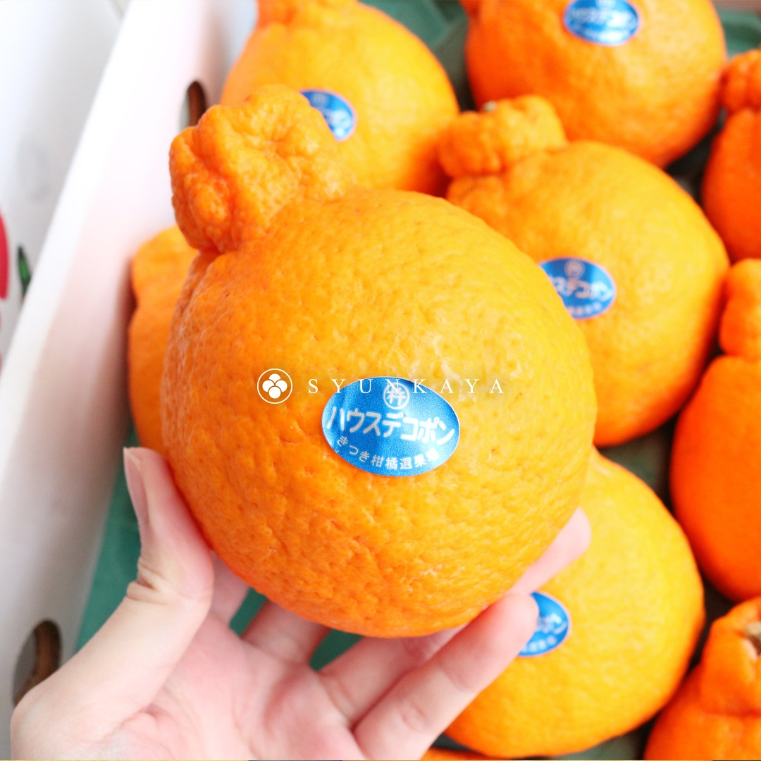 大分不知火みかん