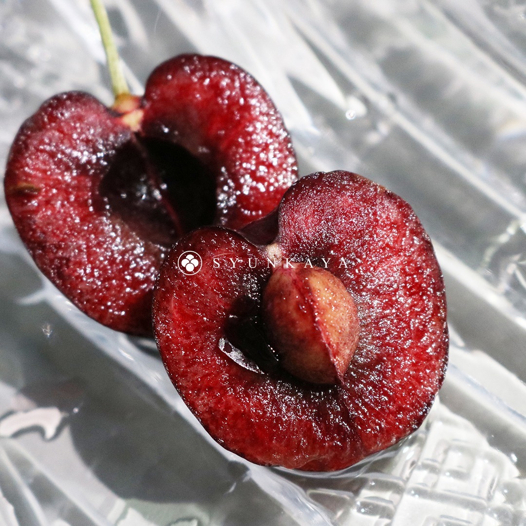 美國加州櫻桃 加州櫻桃 California Cherries 美國進口 美國華盛頓櫻桃 美國西北櫻桃 Northwest Cherries 華盛頓州櫻桃 西北產地櫻桃 夏季櫻桃推薦 甜櫻桃進口 美國進口鮮果 西北櫻桃產季 櫻桃水果禮盒 美國大顆櫻桃 華盛頓櫻桃配送 西北櫻桃價格 美國櫻桃直送 美國櫻桃品牌推薦櫻桃 初夏櫻桃 進口甜櫻桃 加州鮮採櫻桃 櫻桃產季 加州紅櫻桃 新鮮加州櫻桃 美國櫻桃推薦 加州水果 夏季水果推薦 冷藏櫻桃配送 櫻桃禮盒推薦