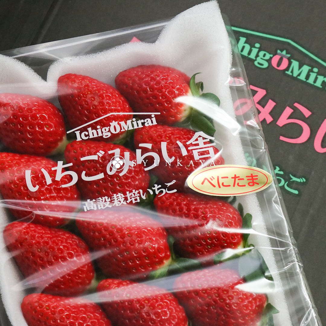 埼玉真心草莓 日本草莓 草莓 紅玉草莓